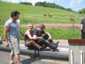 Thumbs/tn_GuterHirte2010 (21).jpg
